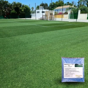 Rio Bermuda Grass Seeds 1LB (0.454 Kgs)