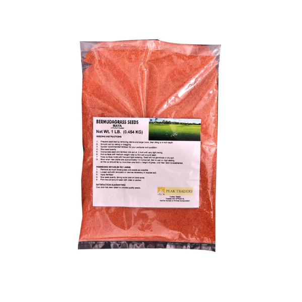 Maya Bermuda Doob Grass Seeds Pack of 1 LB (0.454 KG) - Image 3