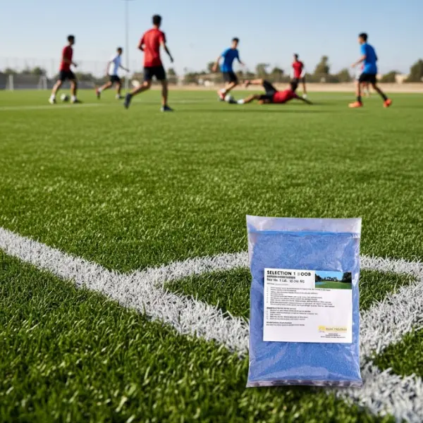 Peak Traders Selection 1 Doob Grass Seeds, Pack of (0.454 kg) - Image 4