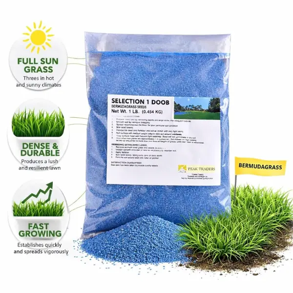 Peak Traders Selection 1 Doob Grass Seeds, Pack of (0.454 kg) - Image 2