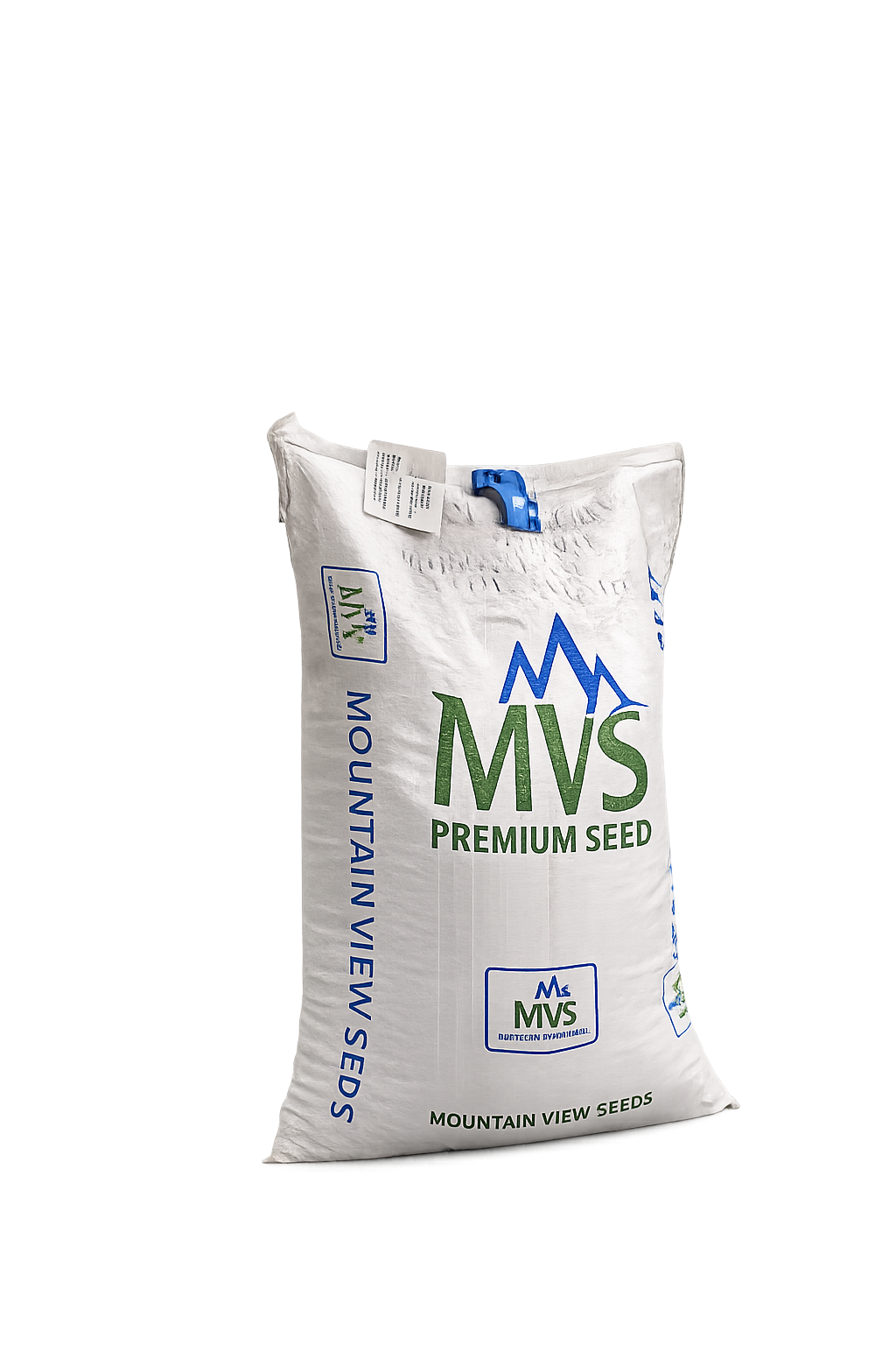Stellar 4GL Perennial Ryefrass Seeds Pack of 25 LB (11.34 Kgs) - Image 3
