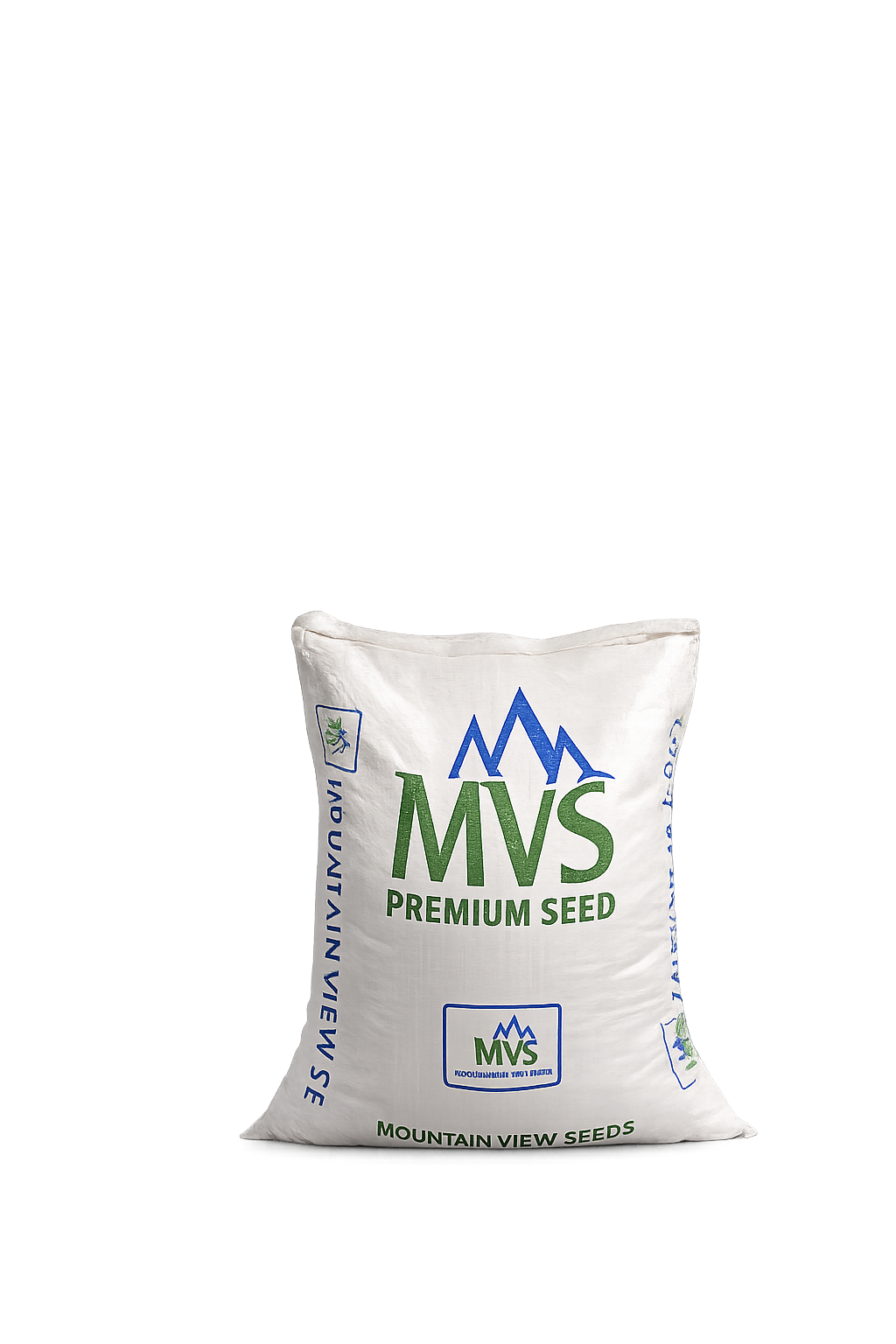 Stellar 4GL Perennial Ryefrass Seeds Pack of 25 LB (11.34 Kgs) - Image 2