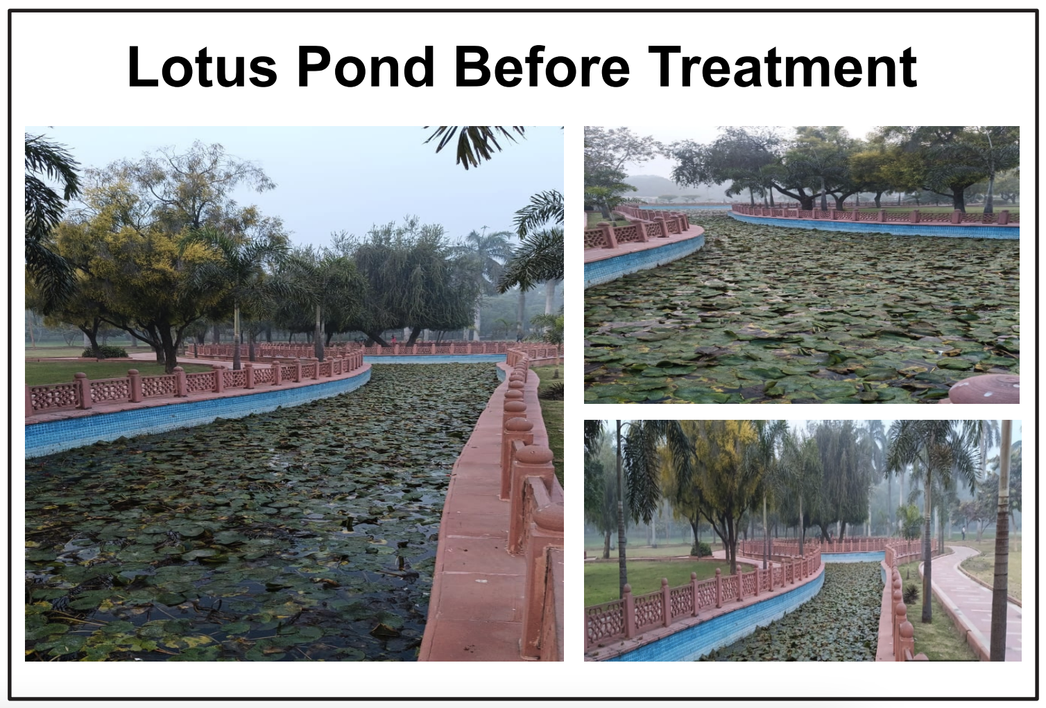 Pond and Lake Clarifier | Dry biological septic and waste degrader - 10 Kgs - Image 3